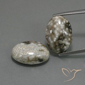 22.45ctw Natürlicher Mehrfarbig Jaspis, Oval, Lichtundurchlässig