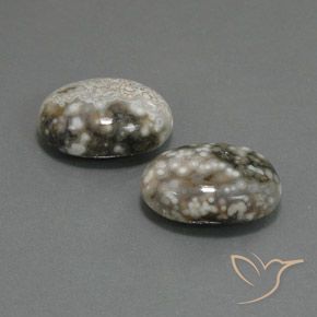 22.45 ct natürliche Mehrfarbig Jaspis-Edelsteine, Oval, Lichtundurchlässig