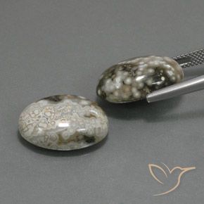 22.45 ct natürliche Mehrfarbig Jaspis-Edelsteine, Oval, Lichtundurchlässig