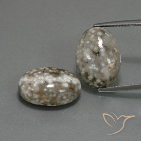 25.02ctw Natürlicher Mehrfarbig Jaspis, Oval, Lichtundurchlässig