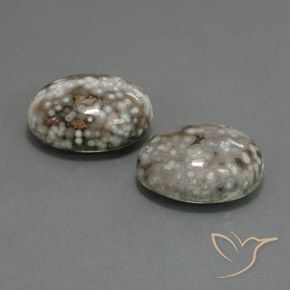 25.02 ct natürliche Mehrfarbig Jaspis-Edelsteine, Oval, Lichtundurchlässig