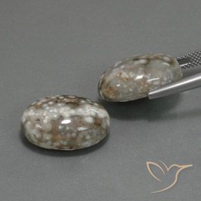 25.02 ct natürliche Mehrfarbig Jaspis-Edelsteine, Oval, Lichtundurchlässig