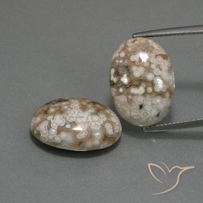 19.64ctw Natürlicher Mehrfarbig Jaspis, Oval, Lichtundurchlässig