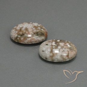 19.64 ct natürliche Mehrfarbig Jaspis-Edelsteine, Oval, Lichtundurchlässig