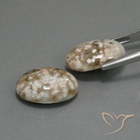19.64 ct natürliche Mehrfarbig Jaspis-Edelsteine, Oval, Lichtundurchlässig