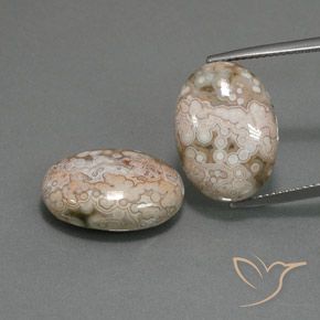 21.58ctw Natürlicher Mehrfarbig Jaspis, Oval, Lichtundurchlässig