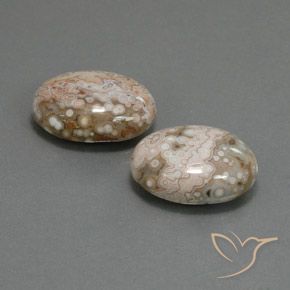 21.58 ct natürliche Mehrfarbig Jaspis-Edelsteine, Oval, Lichtundurchlässig