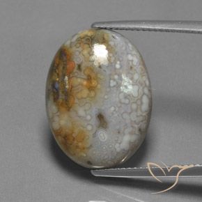 13.45ct Natürlicher Mehrfarbig Jaspis, Oval, Lichtundurchlässig