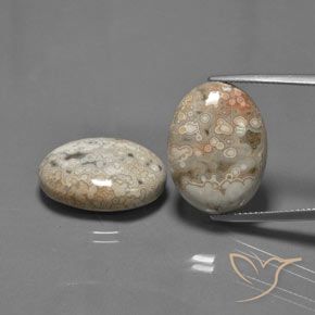 27.89ctw Natürlicher Mehrfarbig Jaspis, Oval, Lichtundurchlässig