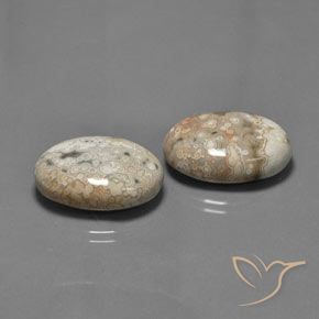 27.89 ct natürliche Mehrfarbig Jaspis-Edelsteine, Oval, Lichtundurchlässig