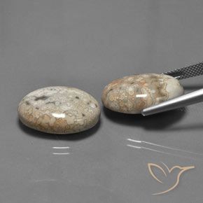 27.89 ct natürliche Mehrfarbig Jaspis-Edelsteine, Oval, Lichtundurchlässig