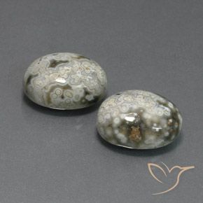 20.10 ct natürliche Mehrfarbig Jaspis-Edelsteine, Oval, Lichtundurchlässig