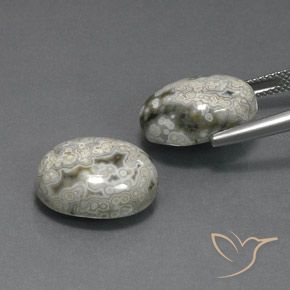 20.10 ct natürliche Mehrfarbig Jaspis-Edelsteine, Oval, Lichtundurchlässig