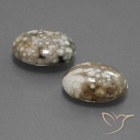 15.34 ct natürliche Mehrfarbig Jaspis-Edelsteine, Oval, Lichtundurchlässig