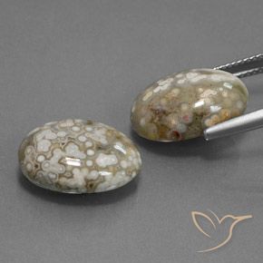 15.34 ct natürliche Mehrfarbig Jaspis-Edelsteine, Oval, Lichtundurchlässig