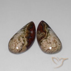 34.78 ct natürliche Mehrfarbig Jaspis-Edelsteine, Fantasie, Lichtundurchlässig