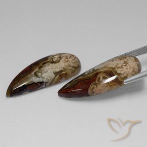 34.78 ct natürliche Mehrfarbig Jaspis-Edelsteine, Fantasie, Lichtundurchlässig