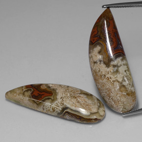  ct natürliche mehrfarbiger Jaspis-Edelsteine, Fantasieschliff, Lichtundurchlässig