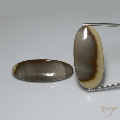 52.70ctw Natürlicher Mehrfarbig Jaspis, Oval, Lichtundurchlässig