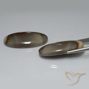 52.70 ct natürliche Mehrfarbig Jaspis-Edelsteine, Oval, Lichtundurchlässig