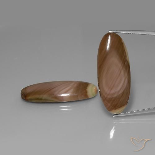 39.05ctw Natürlicher Mehrfarbig Jaspis, Oval, Lichtundurchlässig