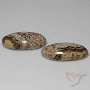29.46 ct natürliche Mehrfarbig Jaspis-Edelsteine, Oval, Lichtundurchlässig