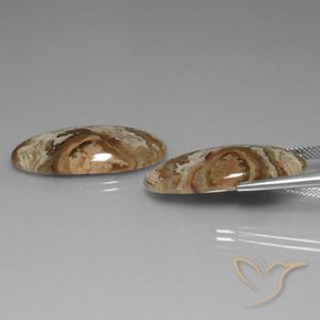 30.99 ct natürliche Mehrfarbig Jaspis-Edelsteine, Oval, Lichtundurchlässig