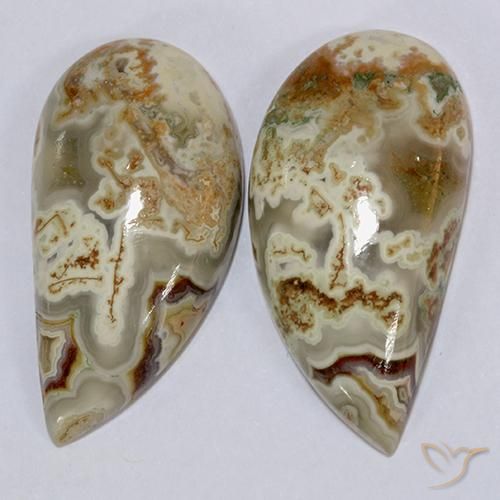 21.08 ct natürliche Mehrfarbig Jaspis-Edelsteine, Fantasie, Lichtundurchlässig
