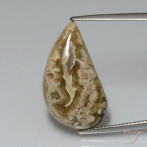 11.24ct Natürlicher Mehrfarbig Jaspis, Fantasie, Lichtundurchlässig