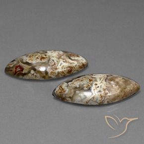 25.56 ct natürliche Mehrfarbig Jaspis-Edelsteine, Marquise, Lichtundurchlässig