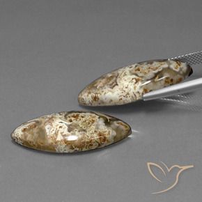 25.56 ct natürliche Mehrfarbig Jaspis-Edelsteine, Marquise, Lichtundurchlässig