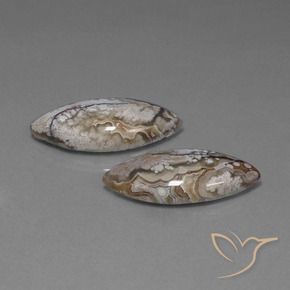 29.82 ct natürliche Mehrfarbig Jaspis-Edelsteine, Marquise, Lichtundurchlässig