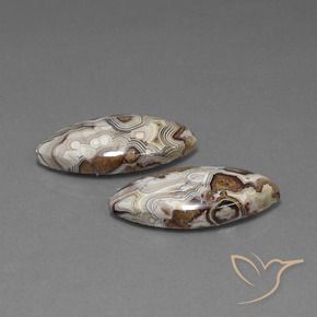 24.92 ct natürliche Mehrfarbig Jaspis-Edelsteine, Marquise, Lichtundurchlässig