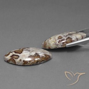 24.92 ct natürliche Mehrfarbig Jaspis-Edelsteine, Marquise, Lichtundurchlässig