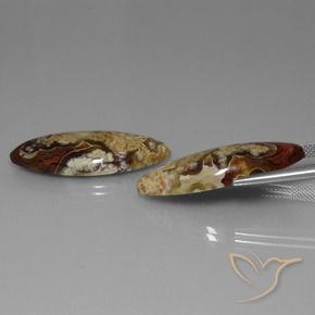 28.79 ct natürliche Mehrfarbig Jaspis-Edelsteine, Marquise, Lichtundurchlässig