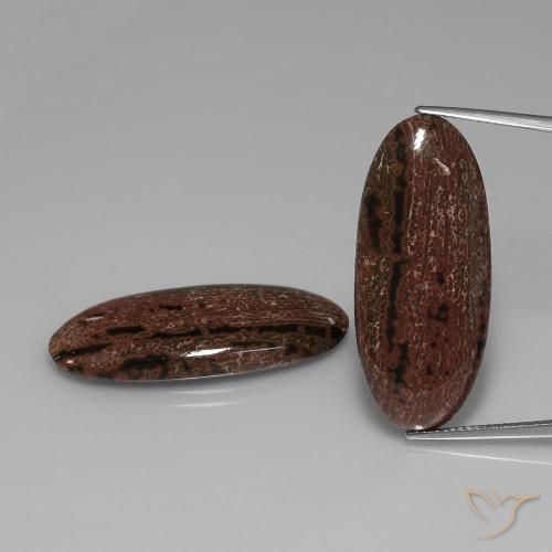 35.24ctw Natürlicher Mehrfarbig Jaspis, Oval, Lichtundurchlässig