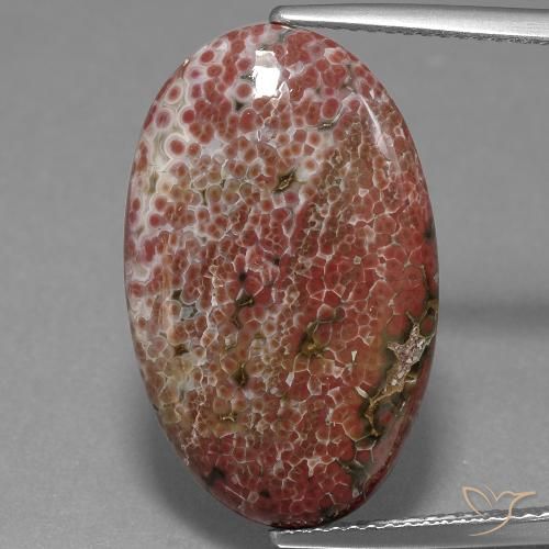 11.71ct Natürlicher Mehrfarbig Jaspis, Oval, Lichtundurchlässig