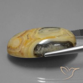 9,17 ctw natürlicher Mehrfarbig Jaspis, Oval, Lichtundurchlässig