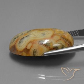 9,17 ctw natürlicher Mehrfarbig Jaspis, Oval, Lichtundurchlässig