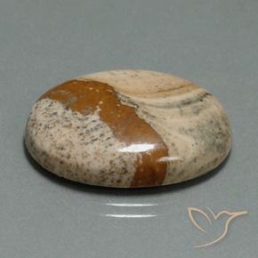 9,17 ctw natürlicher Mehrfarbig Jaspis, Oval, Lichtundurchlässig