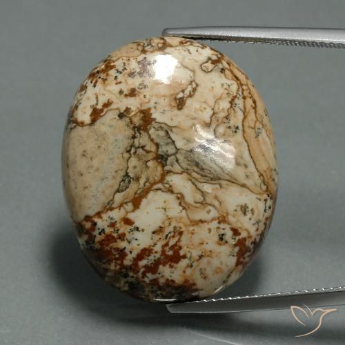 30.15ct Natürlicher Mehrfarbig Jaspis, Oval, Lichtundurchlässig
