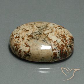9,17 ctw natürlicher Mehrfarbig Jaspis, Oval, Lichtundurchlässig