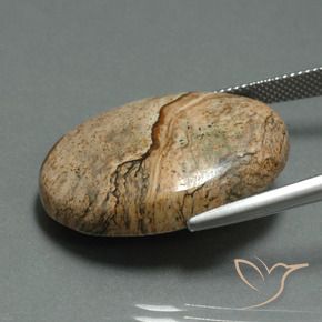 9,17 ctw natürlicher Mehrfarbig Jaspis, Oval, Lichtundurchlässig