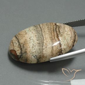 9,17 ctw natürlicher Mehrfarbig Jaspis, Oval, Lichtundurchlässig