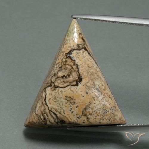 24.08ct Natürlicher Mehrfarbig Jaspis, Trillion, Lichtundurchlässig