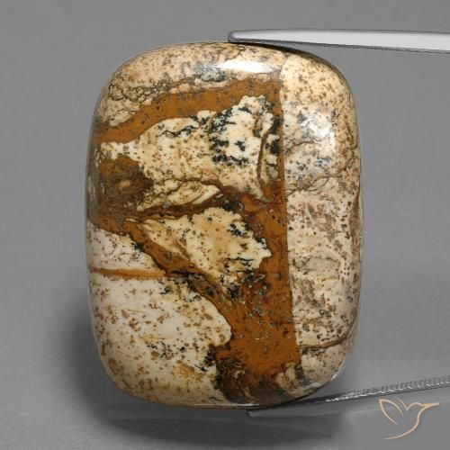 58.74ct Natürlicher Mehrfarbig Jaspis, Kissen, Lichtundurchlässig