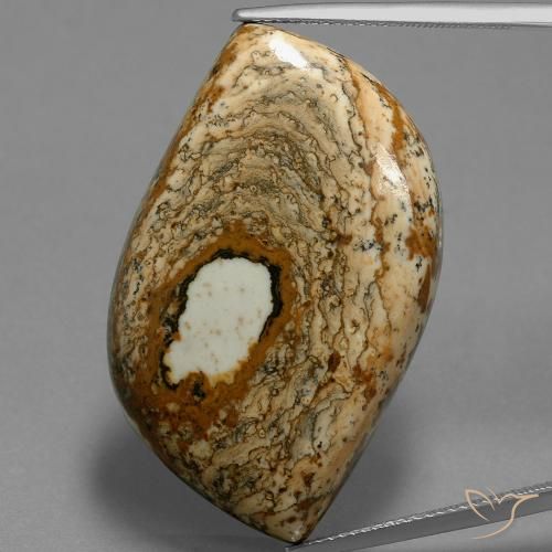 47.70ct Natürlicher Mehrfarbig Jaspis, Fantasie, Lichtundurchlässig