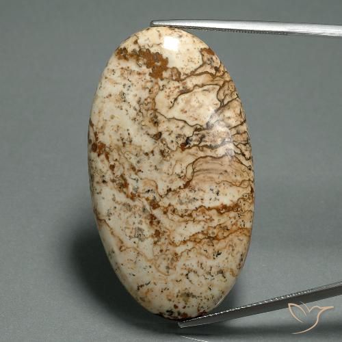 44.26ct Natürlicher Mehrfarbig Jaspis, Oval, Lichtundurchlässig