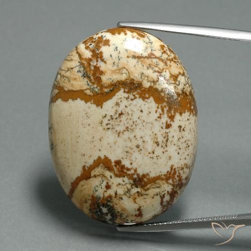 43.57ct Natürlicher Mehrfarbig Jaspis, Oval, Lichtundurchlässig