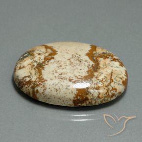9,17 ctw natürlicher Mehrfarbig Jaspis, Oval, Lichtundurchlässig